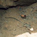 Wyprawa do Iranu i Turcji, 1996; fot. Wadi & Woreczko