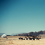 Wyprawa do Iranu i Turcji, 1996; fot. Wadi & Woreczko