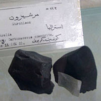 Kair - Egipskie Muzeum Geologiczne, meteoryty Murchison (fot. Wadi & Woreczko)