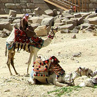 Kair - piramidy (fot. Wadi & Woreczko)