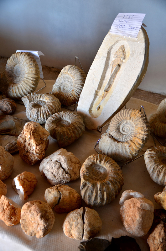 Minerały i skamieniałości; Maroko 2014