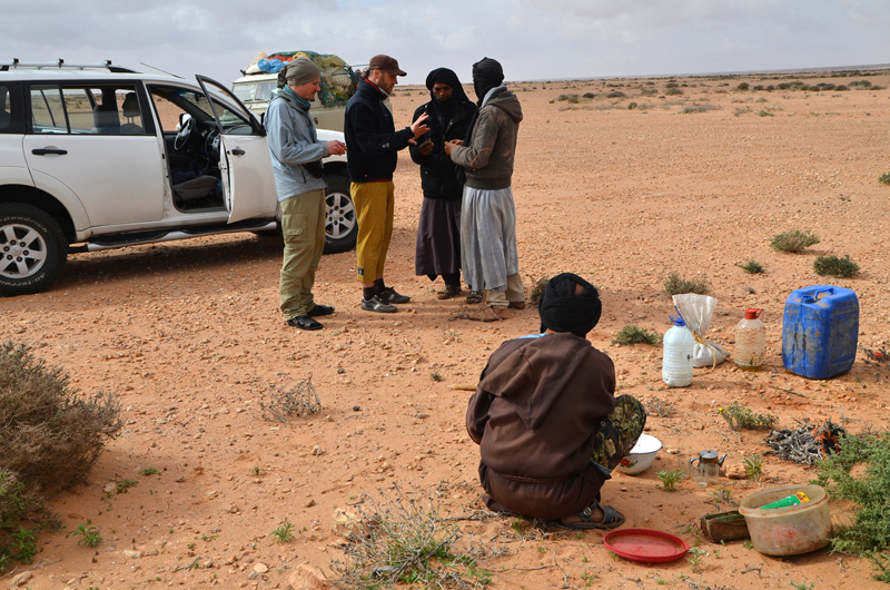 Nomadzi - ludzie pustyni; Maroko 2014