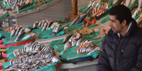 Fish market at Bosphorus