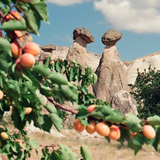 Kapadocja, Uhisar, Greme, Zelwe, Nevehir, Derinkuyu, rgp, Greme Open Air Museum (Turcja 1994);  fot. Wadi & Woreczko