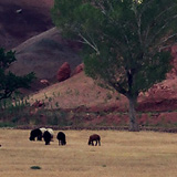 Turecki Kurdystan, Dogubayazit, Ararat, Paac Ishaka Paszy (Wyprawa do Iranu i Turcji, 1996); 