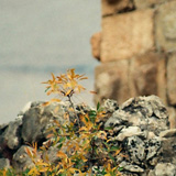 Jezioro Wan, Siverek, Arsemia Antik Kenti, Karaku Tumulus, Kahta castle, Cendere (Wyprawa do Iranu i Turcji, 1996)